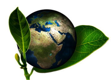permacultura ecosistemas humanos sostenibles 2 360x260 - Permacultura, ¿Qué es y cómo funciona?