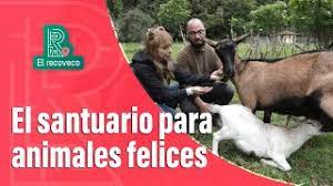 descarga 50 - Fundación Santuario Animal Namigni: el edén de las especies animales en Colombia