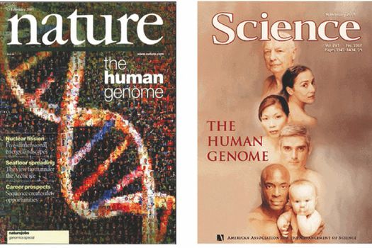5ZMVTY46XRHBRFTYXYUXSXUIUE - Genoma humano: 20 años de la construcción del “mapa” de la vida